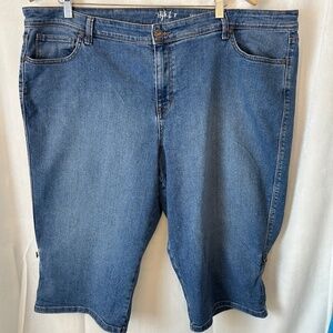Jean Shorts Women's Size 20